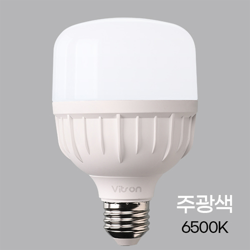 비츠온 LED T-벌브 W 램프 30W 주광색 E26 T100 I383266
