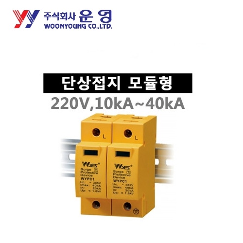 운영 WYPC2010T220 SPD 모듈형 단상접지 2W+G 10kA AC220V 2Pole 서지보호기
